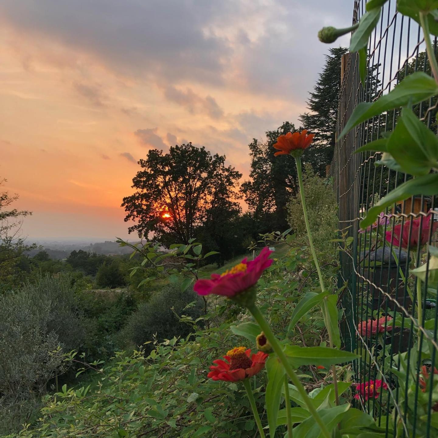 Faedis La Casita Eco Country House Bed & Breakfast エクステリア 写真