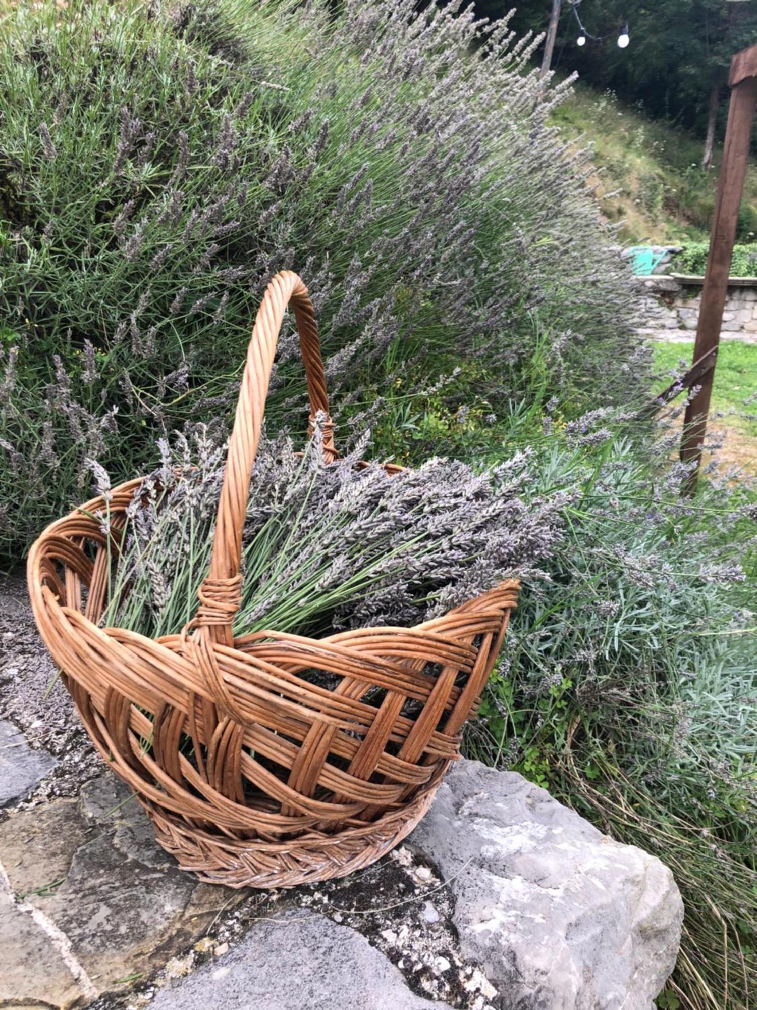 Faedis La Casita Eco Country House Bed & Breakfast エクステリア 写真